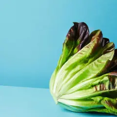 Ein knackiger Römersalat mit grünen und roten Blättern, perfekt für leichte Kost.