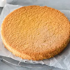 Ein goldbrauner Biskuitboden, perfekt für jedes biskuitboden rezept, liegt auf Backpapier. Daneben liegen leere Eierschalen.