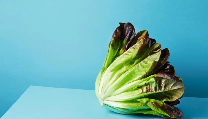 Ein knackiger Römersalat mit grünen und roten Blättern, perfekt für leichte Kost.