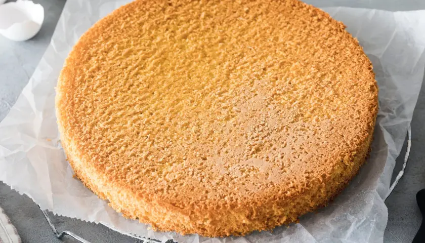 Ein goldbrauner Biskuitboden, perfekt für jedes biskuitboden rezept, liegt auf Backpapier. Daneben liegen leere Eierschalen.