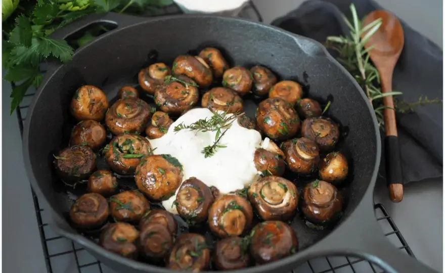 Champignon-Rezepte für Pfanne, Salat, Ofen und Grill
