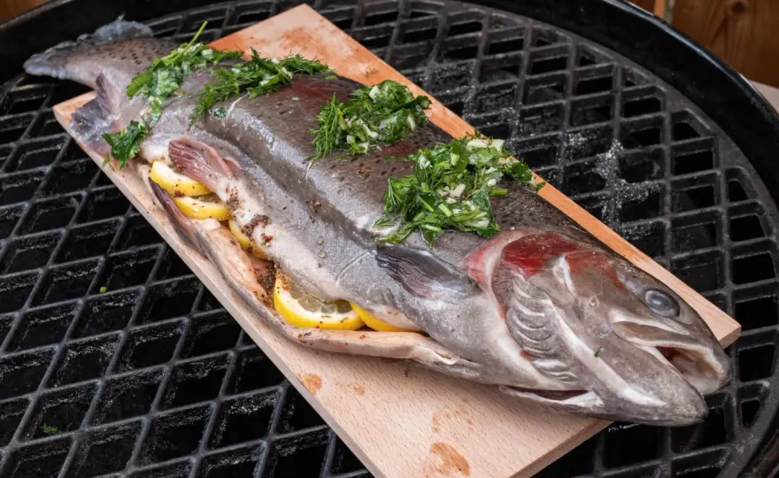 Forelle grillen leicht gemacht - saftig, gar und knusprig