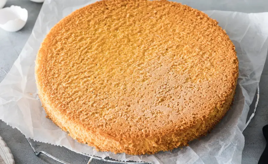 Luftiger Biskuitboden für Torten - einfaches Rezept