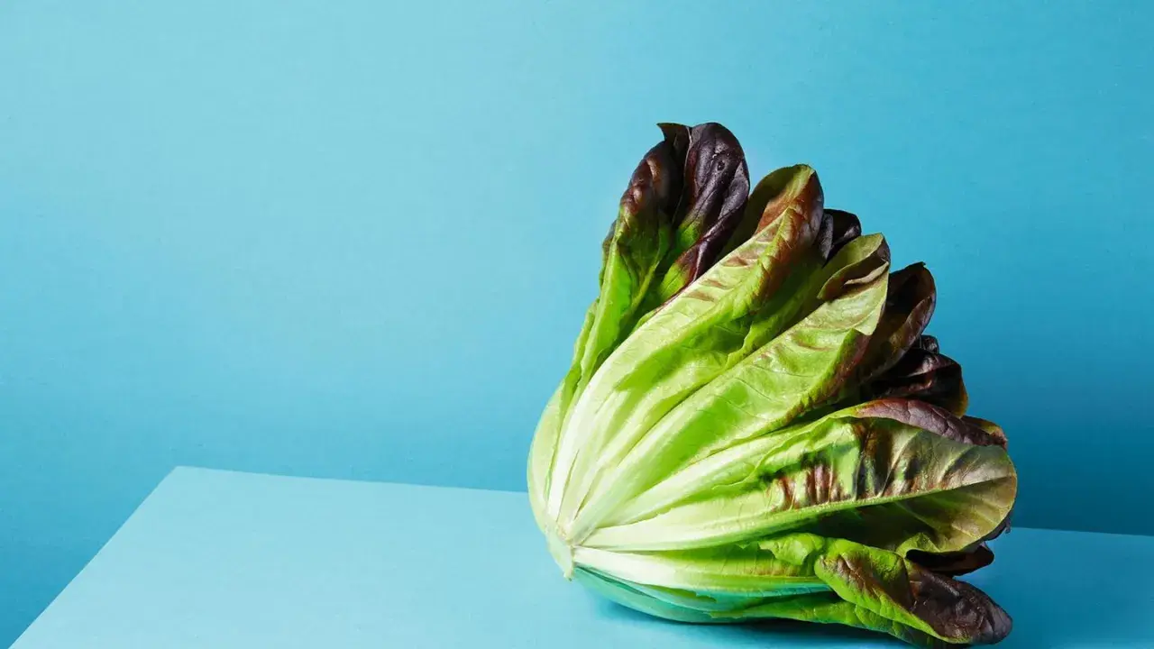 Ein knackiger Römersalat mit grünen und roten Blättern, perfekt für leichte Kost.